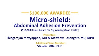 Micro-shield: Abdominal Adhesion Prevention - PInCh 2022