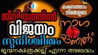 ജീവിതത്തിൽ രക്ഷപ്പെടാൻ ഇത് ശരിയായി ധരിക്കുക l നിങ്ങളുടെ നാഗമാണിക്യം കണ്ടെത്താം l അത്ഭുത അറിവുകൾ l