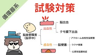 脳血管障害（脳卒中）の分類【試験対策】