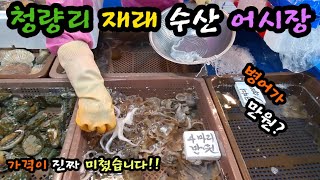 청량리 재래 어시장. 서울에 아직 이런곳이 있다니 놀랍네요!!  Korean fish market channel.