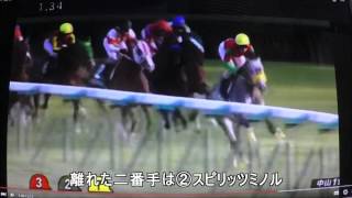 【レース回顧】2016　中山金杯　予想結果動画コメント付き