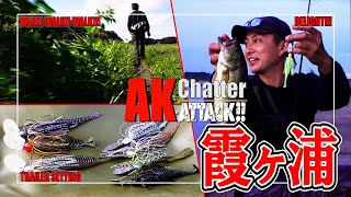 【AK Chatter Attack !!】CASE 04. 霞ヶ浦水系｜秋【AKチャター１本勝負】