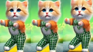 🤣😻🐾️Funny dancing cats :Funny Videos 💃😃#catvideos #dancingcat #viral videos #cats @furry-cornerz