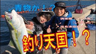 篠島釣り天国で青物連発！？　篠島漁協さんの紹介もあります！