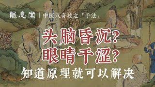 【手法42】提纲 │ 脑与目系 │ 第八章：移精变气手之「形」-01