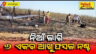 ନିଆଁ ଲାଗି ୬ ଏକର ଆଖୁ ଫସଲ ନଷ୍ଟ || Nabarangpur