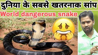 दुनिया के सबसे खतरनाक सांप || World dangerous snake #khansir #khangs #khansirpatna #khansirgs