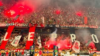 LA VIDA ES NEWELLS - EN VIVO