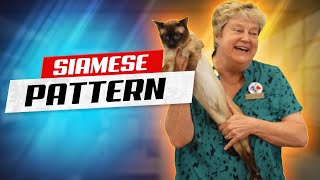 Cold Feet, Dark Fur: The Siamese Cat Mystery