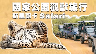 走進動物世界，斯里蘭卡國家公園觀鸟寻獸之旅。