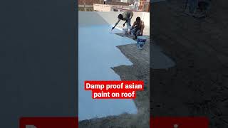 Asian Paint damp proof | terrace waterproofing | Chhat ki waterproofing kaise karen |@Akallpaint