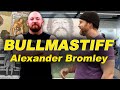 BULLMASTIFF: Alexander Bromley TOP TIER Strength Program: Old School Training