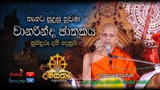 දම්සතර TV | වැවුරුකන්නල | 2024.03.06 | පූජ්‍ය දිඹුල්වල අරියධම්ම හිමි |Ven Dibulwala Ariyadhamma Himi