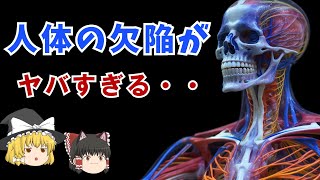 【ゆっくり解説】人類進化によって不要になった欠陥臓器５選【人体の不思議】