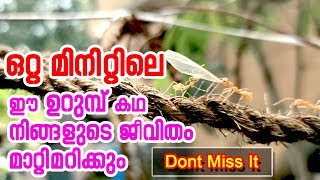 ഒറ്റ മിനിറ്റിലെ ഈ ഉറുമ്പ്‌ കഥ നിങ്ങളുടെ ജീവിതം മാറ്റിമറിക്കും