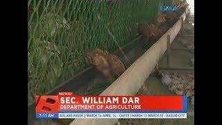 UB: Panayam kay Sec. William Dar, Department of Agriculture