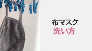 【超簡単ウイルス除去】布マスクの正しい洗い方＊クリッパー：yuri