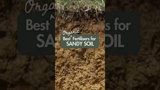 5 Best Organic Fertilisers for Sandy Soil (Arenosols) #australianfarmers