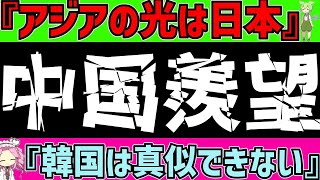 【サッカー日本代表】中国さん『なぜ韓国ではなく日本がアジアの光なのか』【ずんだもんサッカー解説(ゆくサカの人)】