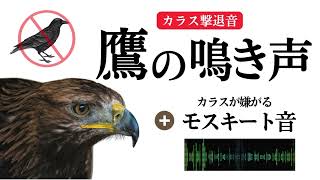 【鷹の鳴き声】カラス・鳩・ムクドリ・スズメを撃退。高周波モスキート音も同時再生で忌避効果アップ