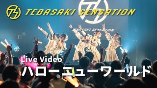 手羽先センセーション『ハローニューワールド』ライブ映像 (2023/01/06＠ダイアモンドホール)【手羽セン】