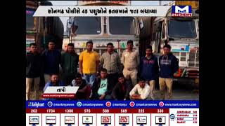 તાપી : સોનગઢ પોલીસે 45 પશુઓને કતલખાને જતા બચાવ્યા | MantavyaNews