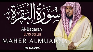 10 Hrs Quran/ Rain Sound/ Surah Al-Baqarah /Black Screen/Reciter Maher Al Muaiqly ماهر المعيقلي