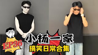 【小杨一家搞笑日常合集】老弟的绝望周末EP36 蓝光版💦 #疯狂小杨哥 #搞笑日常 #搞笑段子🤣