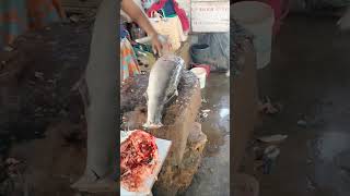 Fish Cutting मासा कापणे मच्छी मार्केट यार्ड येथील सुरमई कोळंबी पापलेट मोठे मोठे मासे