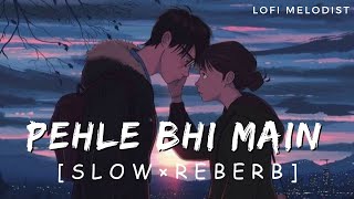 Pehle Bhi Main (Slowed + Reverb) | Vishal Mishra | Animal | #Lofimelodist