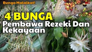 BUNGA MALAIKAT!!! 4 BUNGA PEMBAWA REZEKI DAN KEKAYAAN MENURUT PRIMBON JAWA KUNO