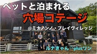 【北海道キャンプ　ペットと泊まれる穴場コテージ　Chassy札幌主催　初キャンプ開催！　ルナきゃん☆plusリン（minanonnno Play Village）