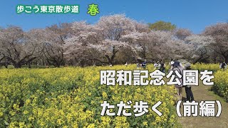 【立川・春】 菜の花と桜、昭和記念公園をただ歩く（前編）｜早送りで全部見せます｜東京ウォーキングコース｜歩こう東京散歩道 #1５