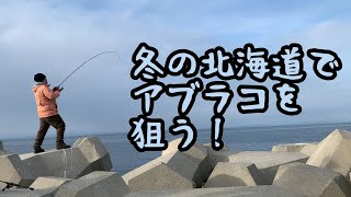 冬の北海道でアブラコを狙う！【釣りん子だべさ】