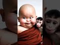 චූටි සාදු දොයි නේද 🤭🙏 so cute baby funnyvideos monk funny trending video