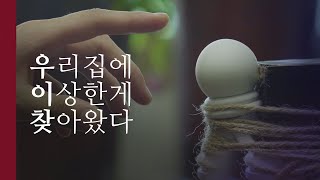 [환상특급] ‘우리 집에 이상한 게 찾아왔다’ |  1분 단편영화