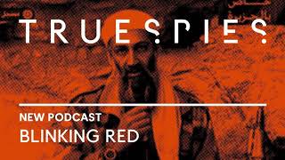 True Spies: Blinking Red