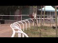 pony ride in sanya racecourse