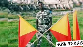 ቀያሕ ባንደየራይ viva tigray adey  💚💚💚💚💚💙