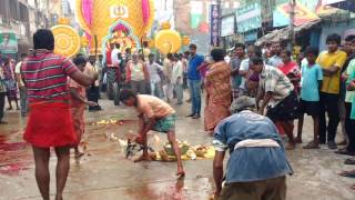 Sri kalasthari jatara