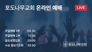 [포도나무교회]  새벽기도회 l 25.02.20 | 생명을 전인적으로 살리시는 예수님을 바라보라 | 왕정원 목사