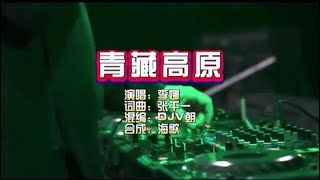 李娜《青藏高原》DJv朝Vina KTV 导唱字幕 （备有伴奏视频）