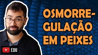 Osmorregulação em peixes - Aula 34 - Módulo VI: Zoologia | Prof. Gui