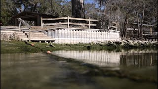 AI Boom VS Florida’s Water: Could data centers tip our natural springs to a breaking point?