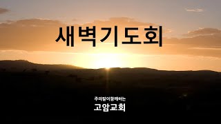 241107 새벽(왕상13장) 순종이 핵심이다_이재진 담임목사