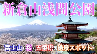 【モトブログ】富士山🗻と桜🌸を撮るなら新倉山浅間公園で決まり！【SEROW250】