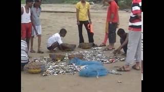 Karwar Beach (Karnataka)