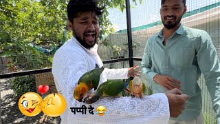 मी एवढा घाबरलोय आणि यांना Romance करायचाय😂 | Must Visit Place In Nashik | Dipak Mahajan | Vlog 228