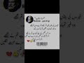 مرزا غالب شہر like and subscribe all brother s 💯🥰🌹💫💝💯🥰🌹