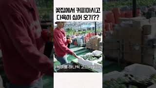 꽃집에서 커피도 마시고 다육이도 심어 올 수 있다고??  #shorts